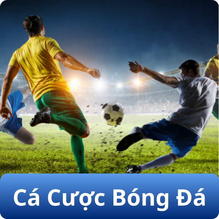 Cá cược bóng đá fun88