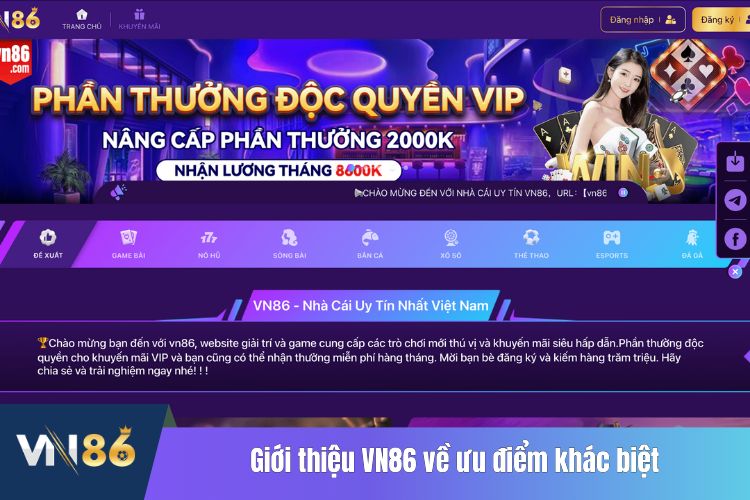 VN86 - sân chơi đẳng cấp quốc tế